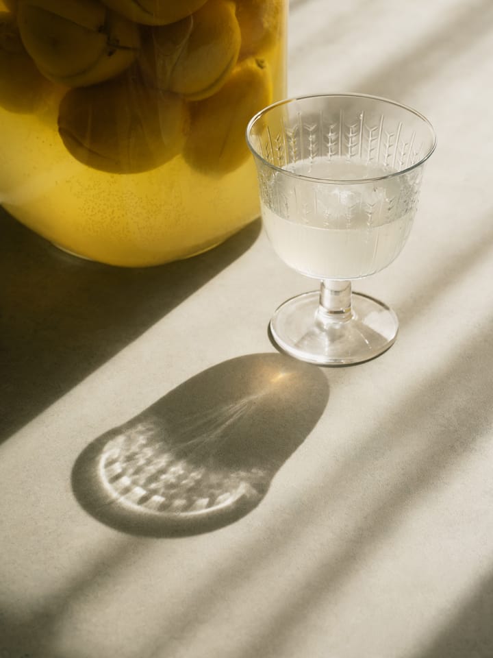Swedish Grace Trinkglas auf Fuß 25 cl 2er-Pack, Klar Rörstrand