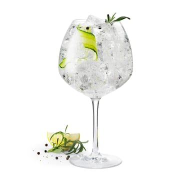 Premium Ginglas 93cl 2er Pack - Klar - Rosendahl