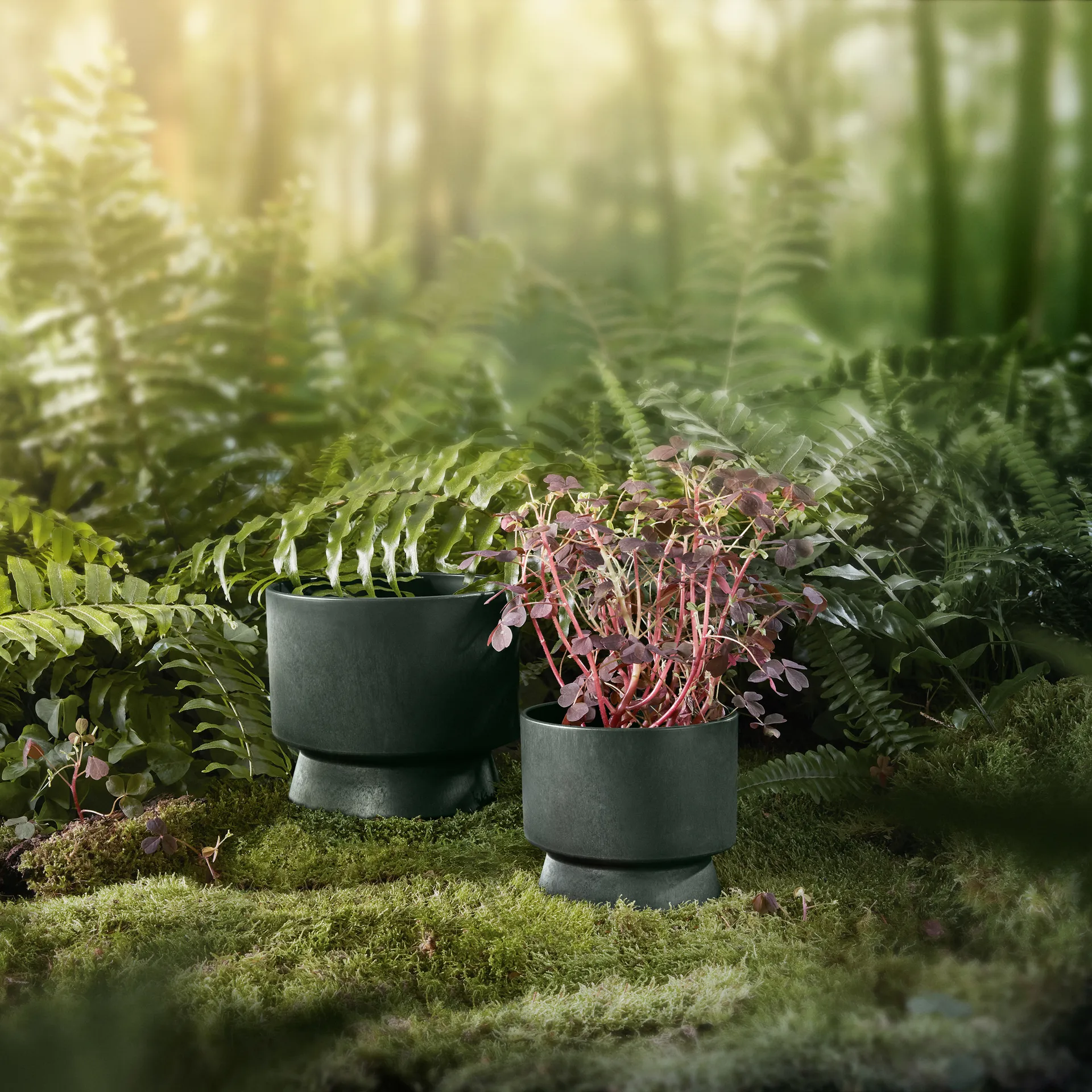 Ro Blumentopf Ø19cm, Dunkelgrün-Kunststoff Rosendahl