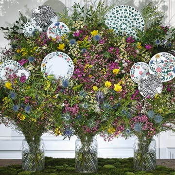 Magic Garden Foliage Teller 21cm - Weiß-grün - Rosenthal