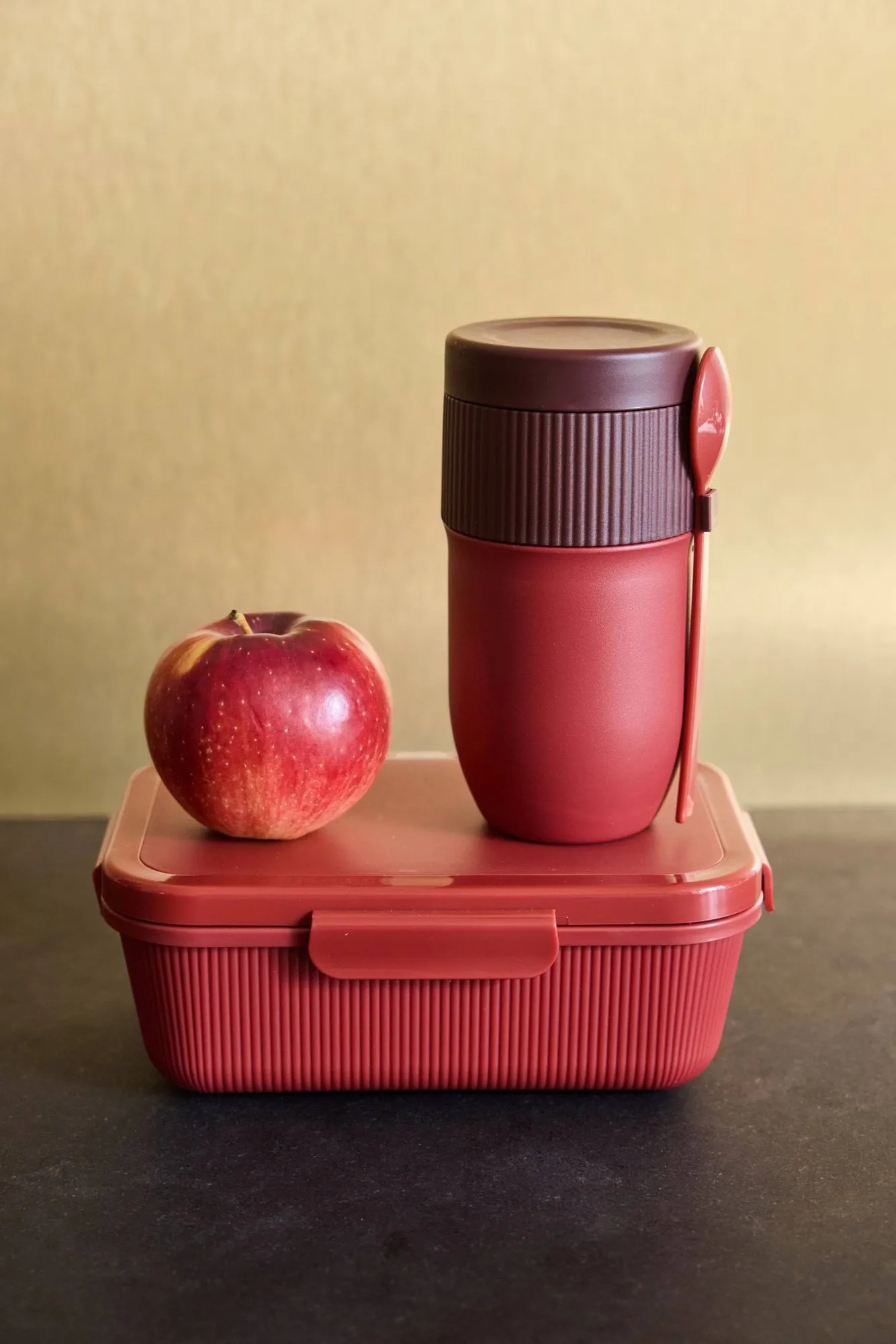 Ted Thermos-Joghurtbecher mit Löffel, Weinrot Pantone 7624C, 32 cl Sagaform