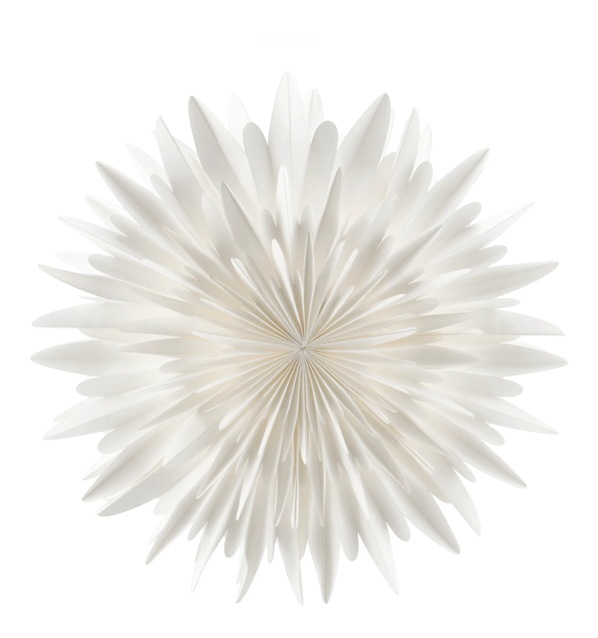 Luna Adventsstern weiß, 80cm Scandi Living