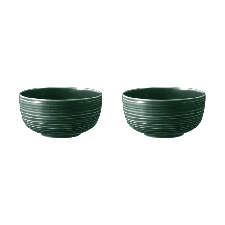 Terra Schale Ø17,7cm 2er Pack - Moss Green - Seltmann Weiden