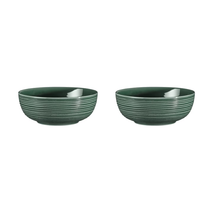 Terra Schale Ø20,4cm 2er Pack - Moss Green - Seltmann Weiden