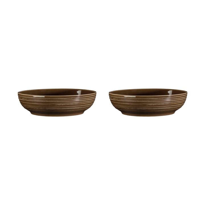 Terra Schale Ø25,5cm 2er Pack - Earth Brown - Seltmann Weiden