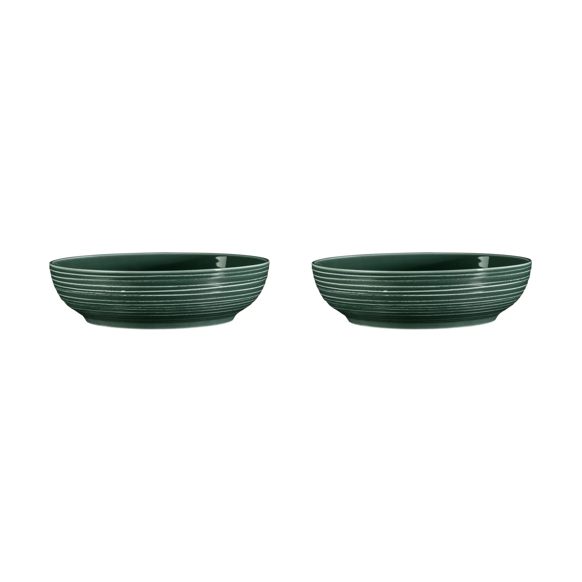 Terra Schale Ø25,5cm 2er Pack, Moss Green Seltmann Weiden