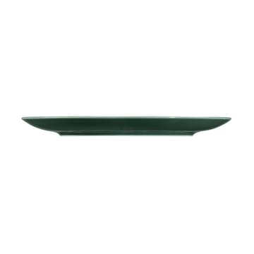 Terra Teller Ø22,7cm 6er Pack - Moss Green - Seltmann Weiden