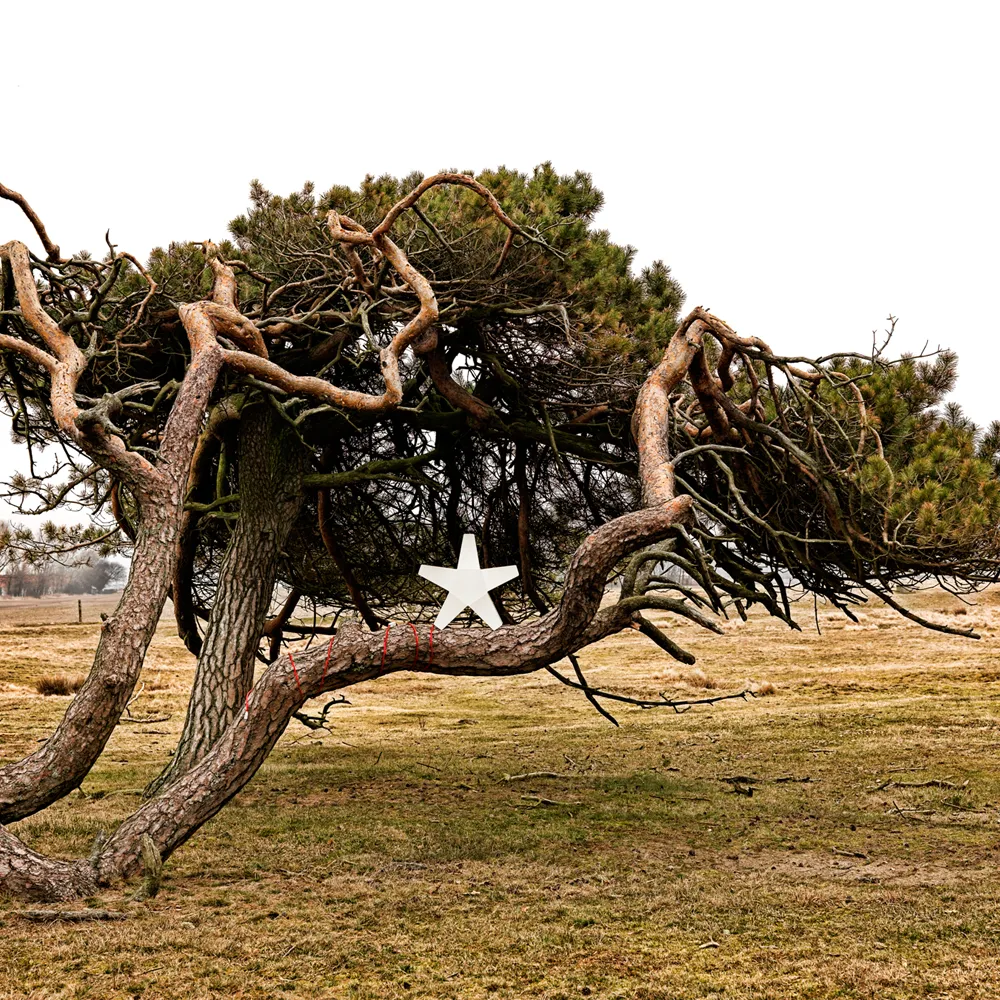 Advent Stjärna Adventsstern, Grau, 40cm, hellgraues Textilkabel SMD Design