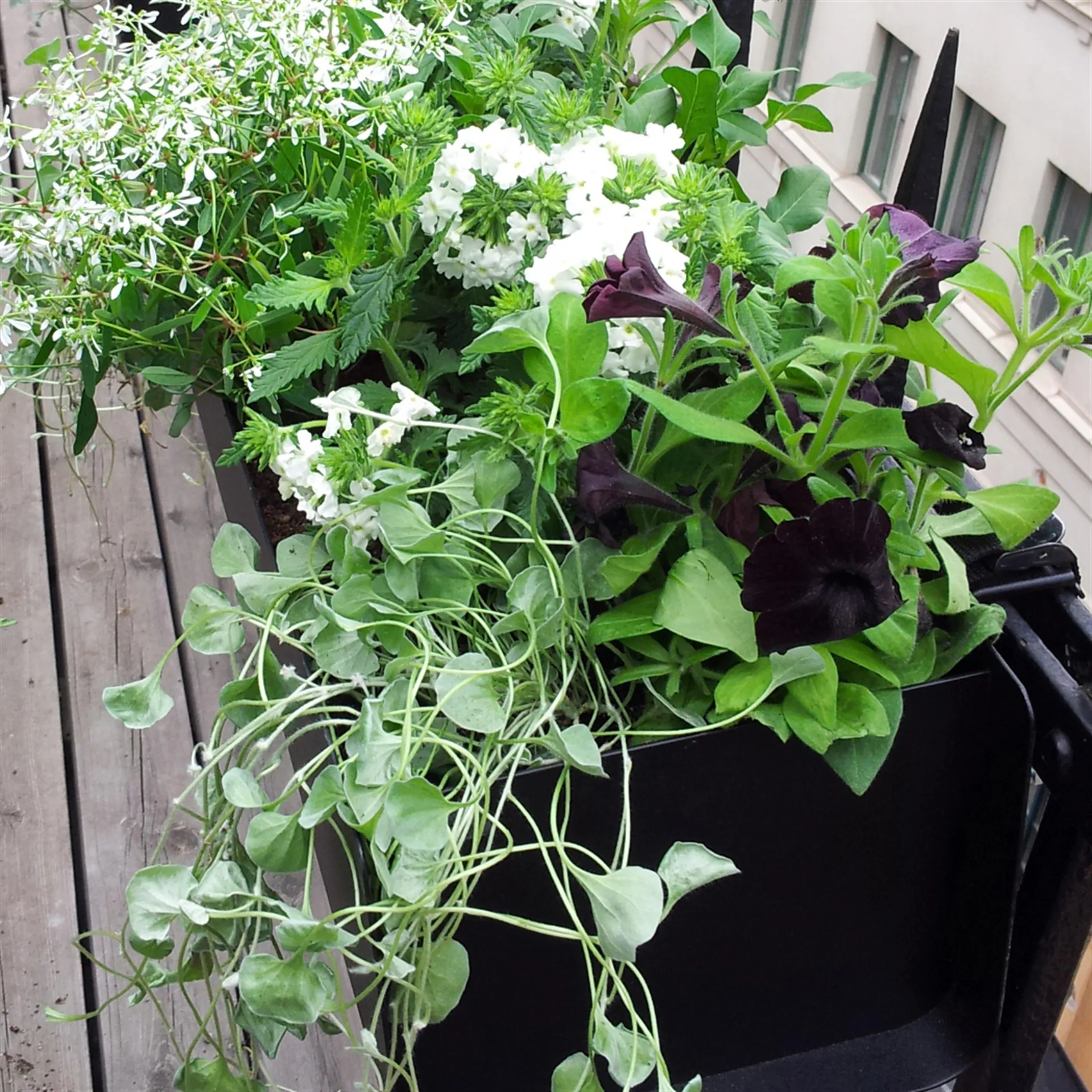 Jorda Blumenkiste, Schwarz 60 cm SMD Design