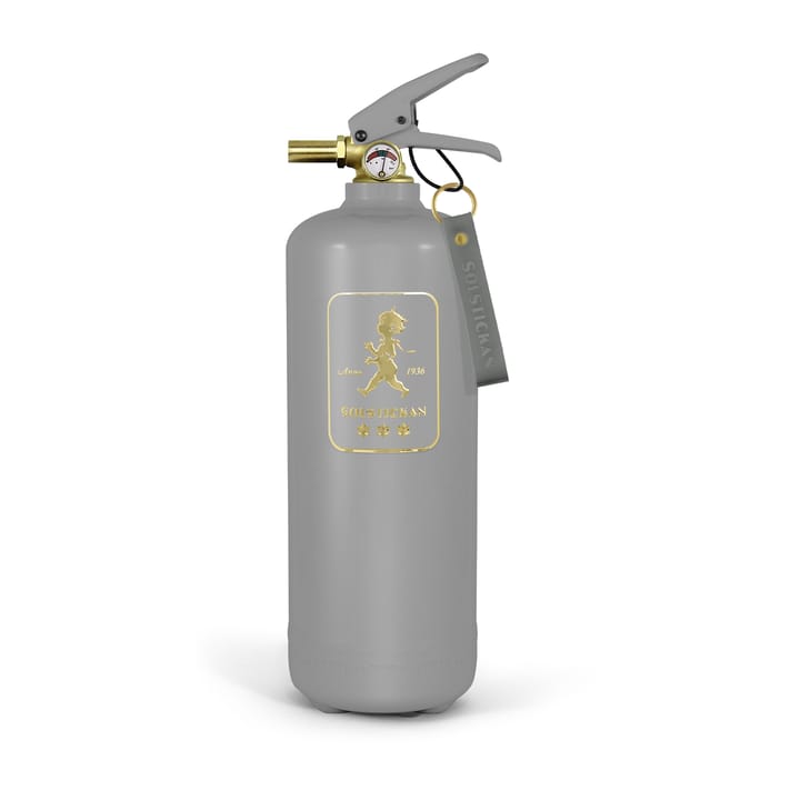 Solstickan Feuerlöscher 2 kg - Design Edition Grau-Gold - Solstickan Design