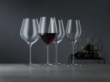 HI-LITE Universal Weinglas 48 cl 2er-Pack - Klar - Spiegelau