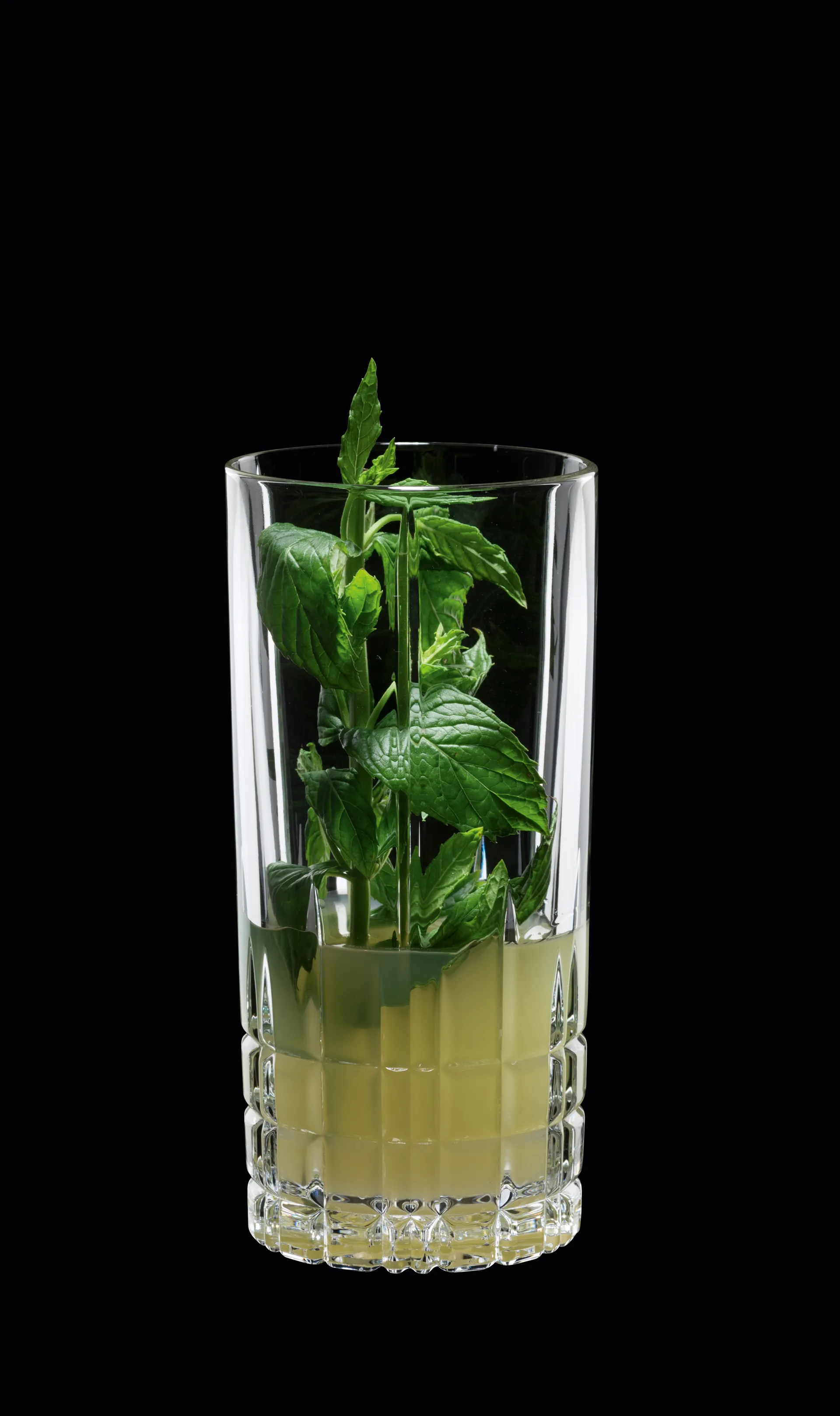 Perfect Serve Longdrink-Glas 35cl , 4er Pack, Klar Spiegelau