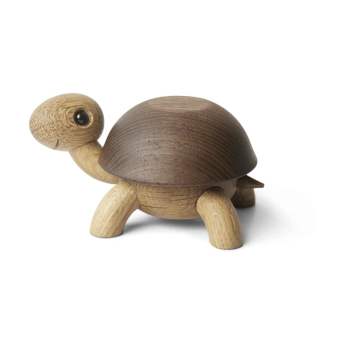 Spring Copenhagen Speedy Schildkröte Dekoration 4 cm Eichenbox