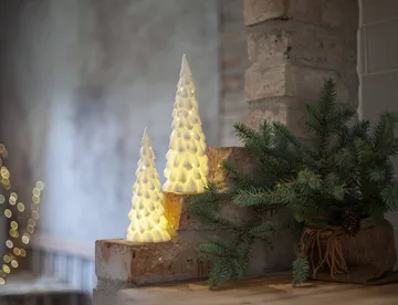 Winter-Innendekoration - Weiße Fichte, 2-teilig - Star Trading