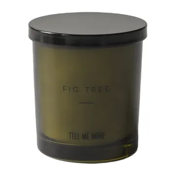 Noir Duftkerze 50 Stunden - Fig tree - Tell Me More