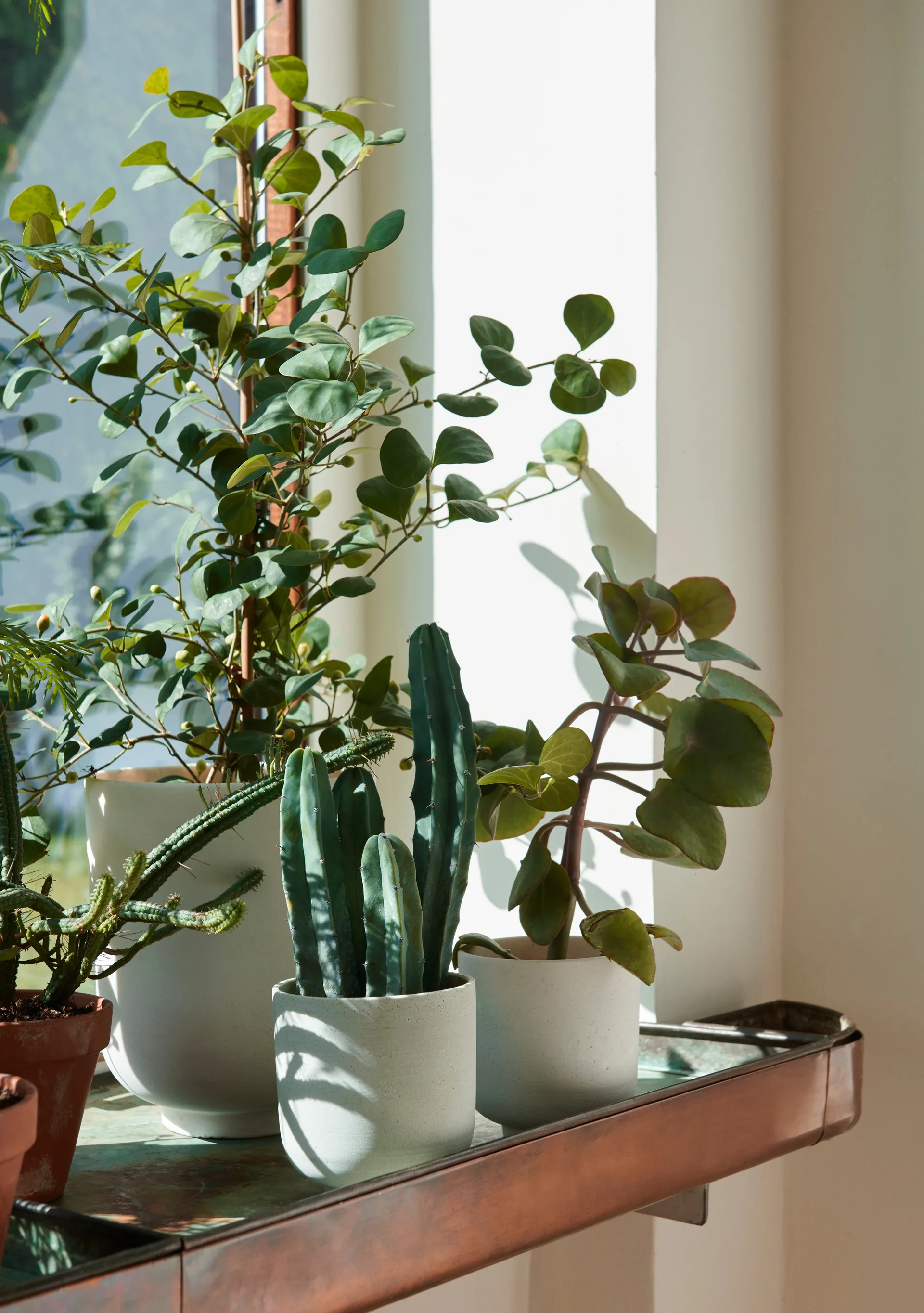 Collect SC72 Blumentopf tall Ø20cm, Milk &Tradition