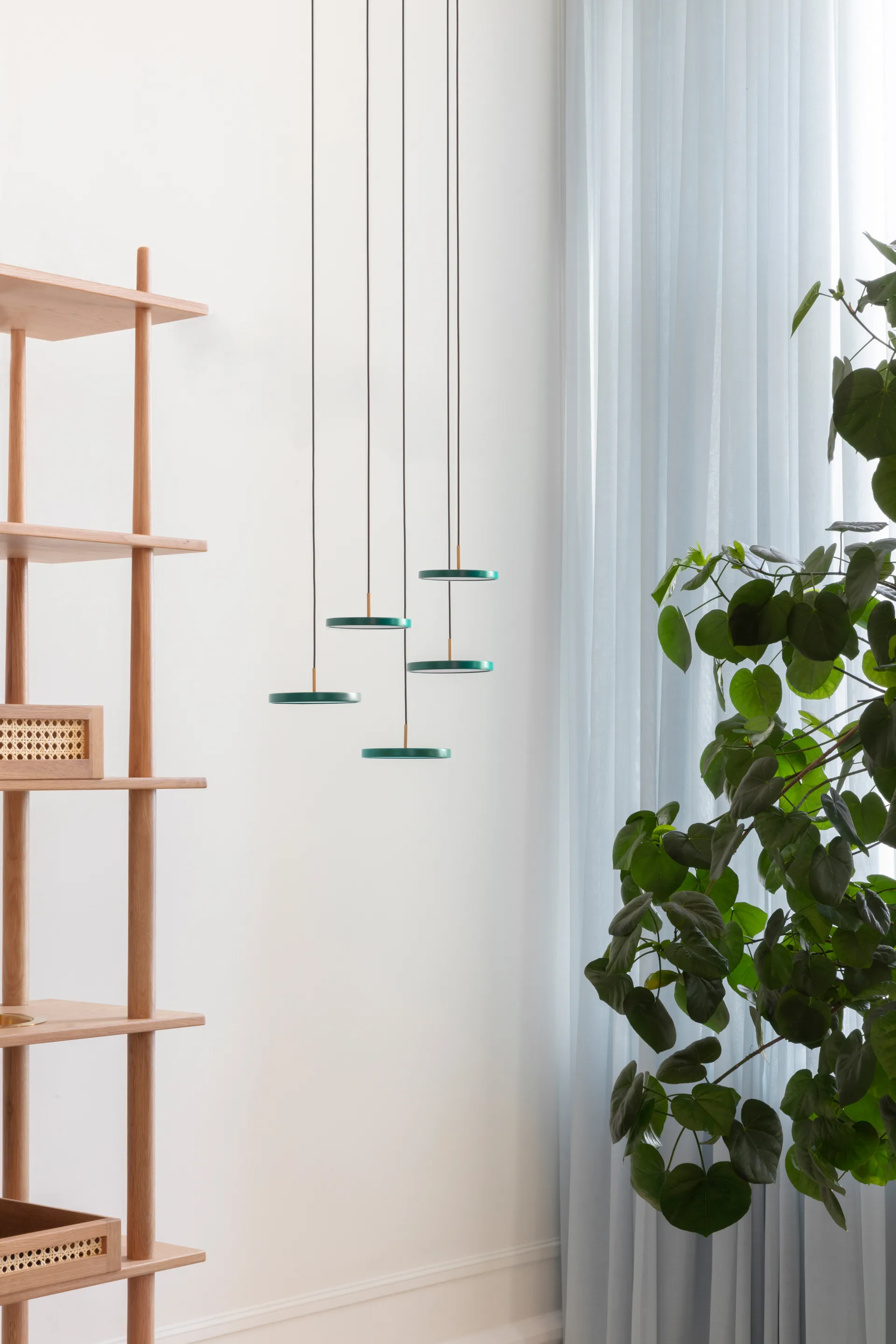 Asteria Micro Pendelleuchte, Forest Green Umage