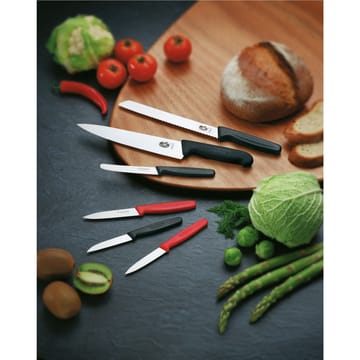 Fibrox  Küchenmesser 22cm - Edelstahl - Victorinox