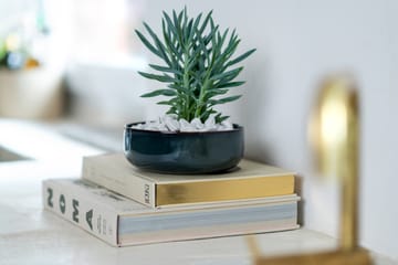 Crafted Denim Schale Ø 16 cm - Blue - Villeroy & Boch