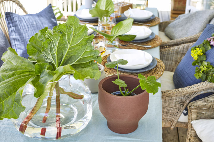 Rhabarber in einer Glasvase von Marimekko und kultivierte Pflanzen in einem rustikalen Topf stehen im Mittelpunkt dieses modernen Mittsommertischs. 