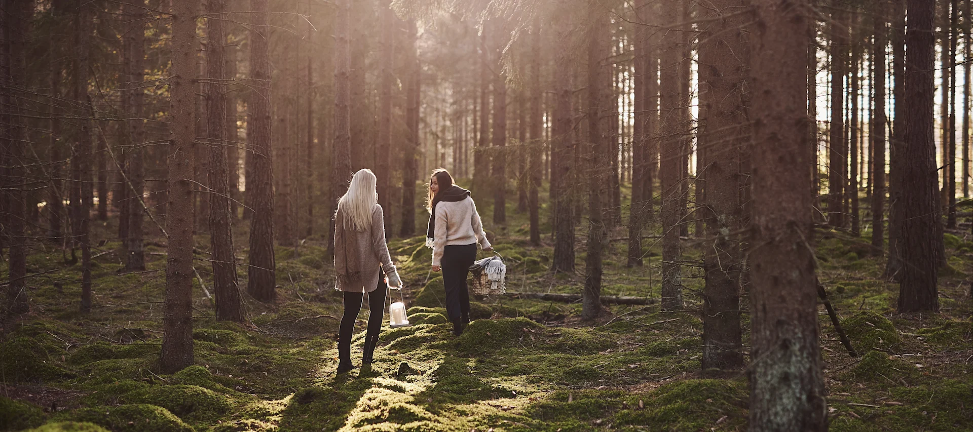 In unserer Herbst To-do-Liste geben wir Ihnen zahlreiche Tipps, was Sie diesen Herbst Skandinavisches machen können – zum Beispiel einen Spaziergang im Wald, um Pilze zu sammeln.