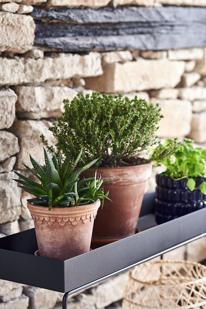 Das Dekorieren der Terrasse im mediterranen Stil ist eine von mehreren Aktivitäten die Sie diesen Sommer in Angriff nehmen können