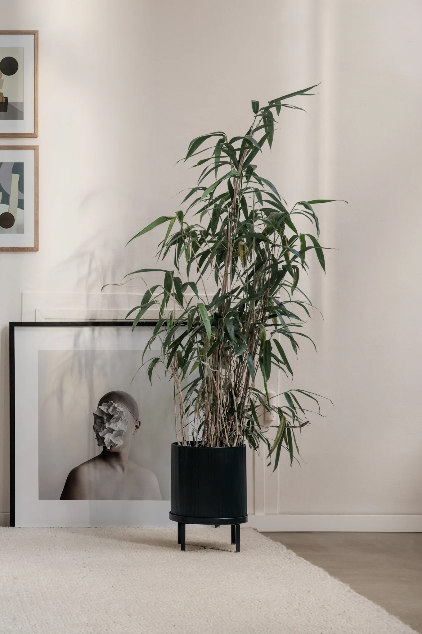 kranz für tür Großer Protea Türkranz – Shabby Chic Deko, Vintage Türkranz befestigen