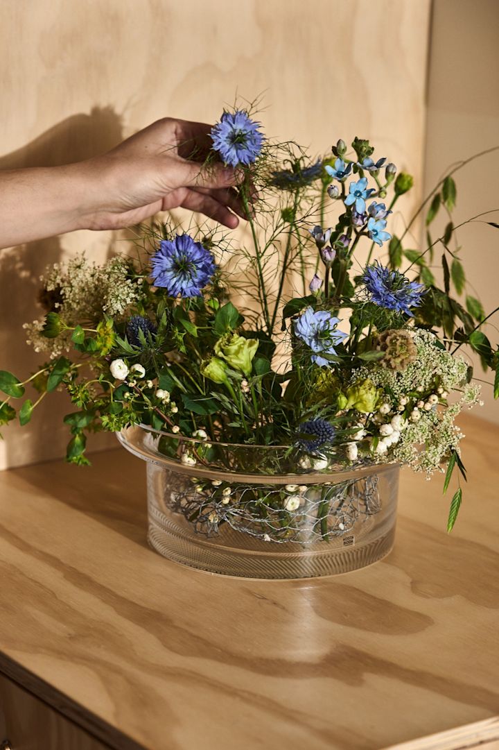 Eine Hand platziert eine Kornblume in einer Vase aus der Limelight-Kollektion von Kosta Boda.