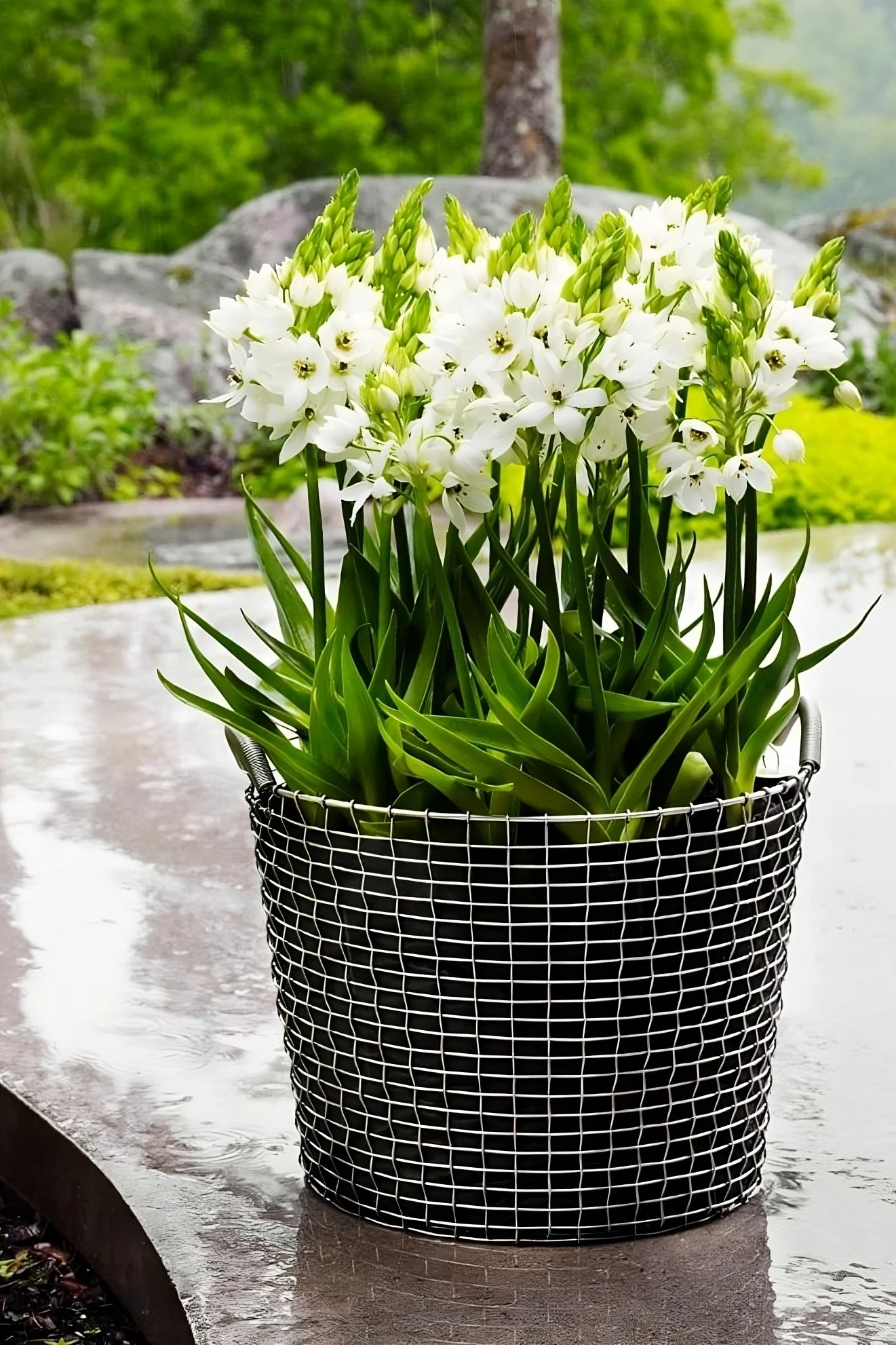 Der Korbo Korb eignet sich auch zum Einpflanzen von Blumen im Garten.
