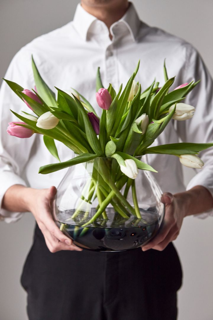 Eine runde Glasvase mit zweifarbigen Tulpen darin, gehalten von einer Person.