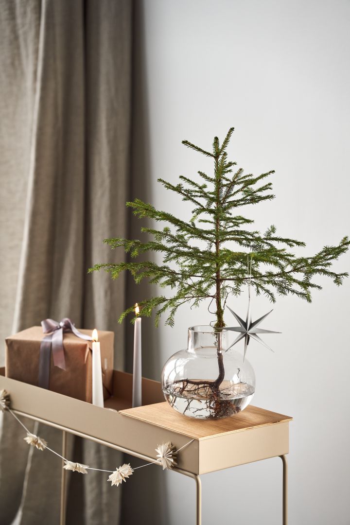 Dekorieren Sie Ihren Baum dieses Jahr mit dem Weihnachtsbaumschmuck 2021 in den 4 verschiedenen Stilen der Nest Trends – Nurture, Share, Boost und Cultivate. Hier sehen Sie einen kleinen Weihnachtsbaum in einer Vase von By On auf einer Plant Box von Ferm Living stehen. 