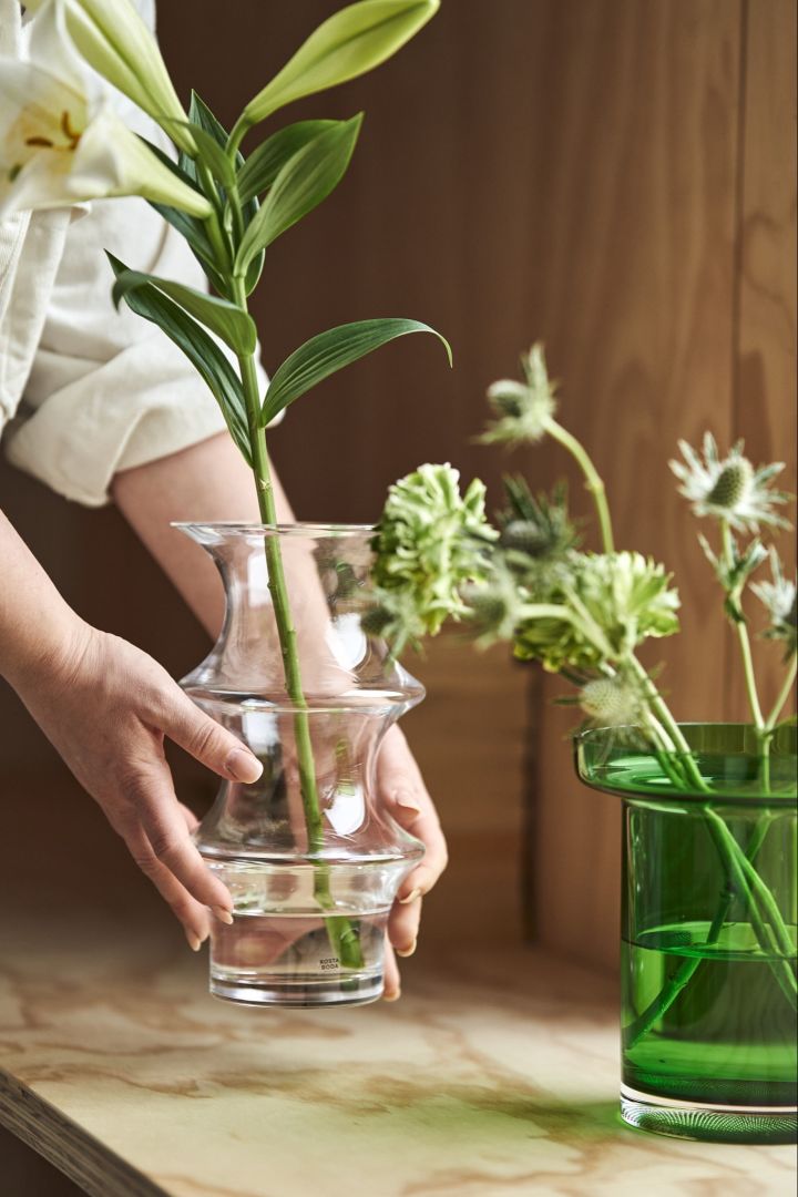 Ein Paar Hände stellt die durchsichtige Pagod Vase auf eine Holzbank, neben eine grüne Limelight Vase, beide von Kosta Boda.