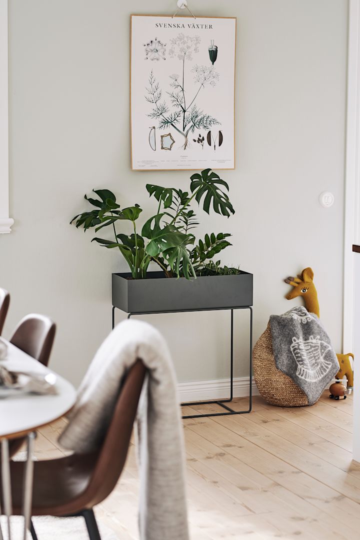 9-Frühlings-Must-Haves – die Plant Box von Ferm Living gibt es in verschiedenen Farben und ist vielfältig einsetzbar. 