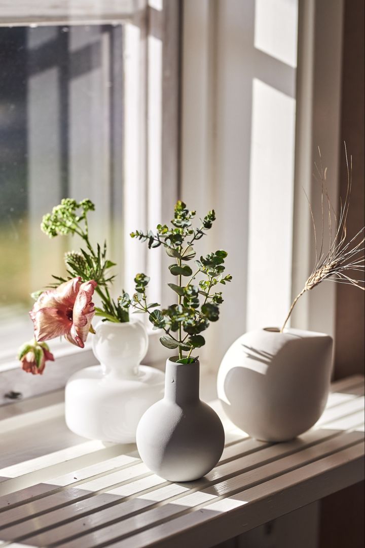 Stellen Sie Ihre Blumen aufs Fensterbrett, damit die Pflanzen genug Licht bekommen.