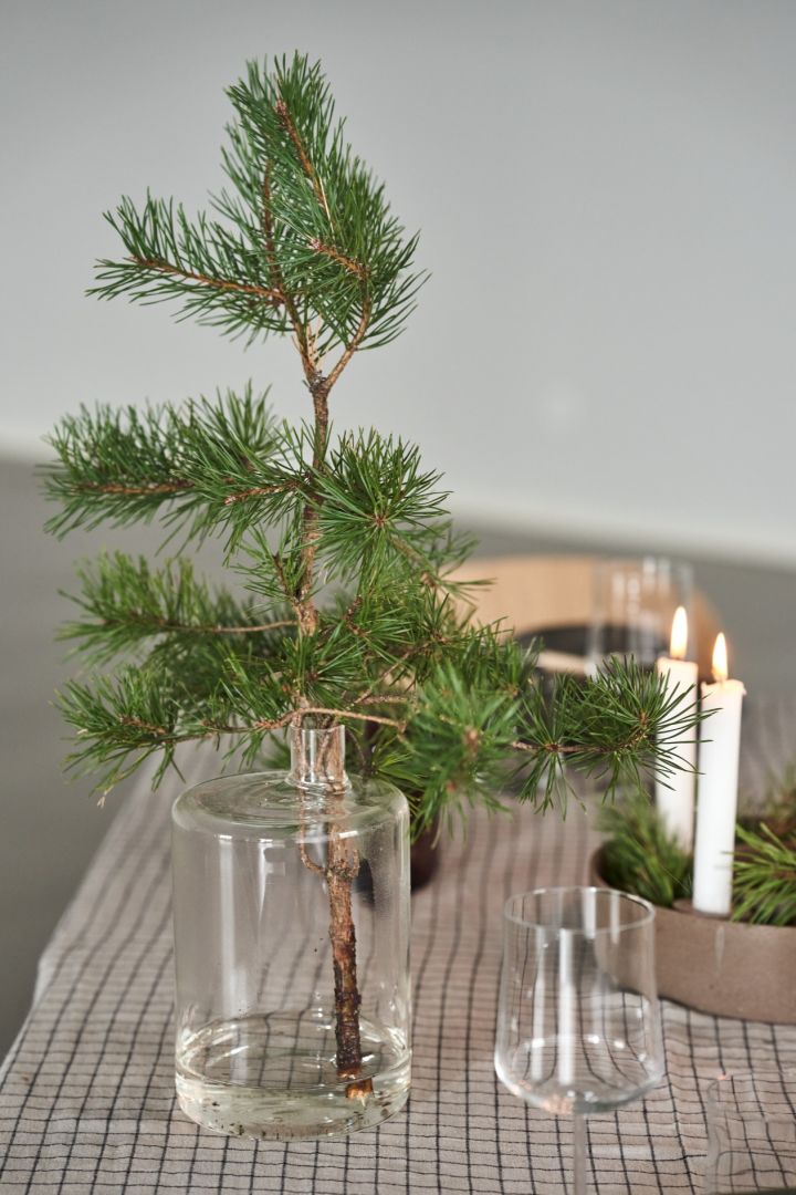 Die Pipe Glasvase von DBKD mit einem grünen Tannenzweig auf dem Cultivate Weihnachtstisch. 