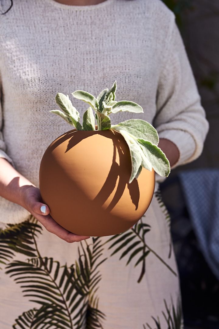 Eine Vase von Cooee Design kombiniert mit einer mediterranen Pflanzeist das perfekte Accessoire für Ihren mediterranen Balkon