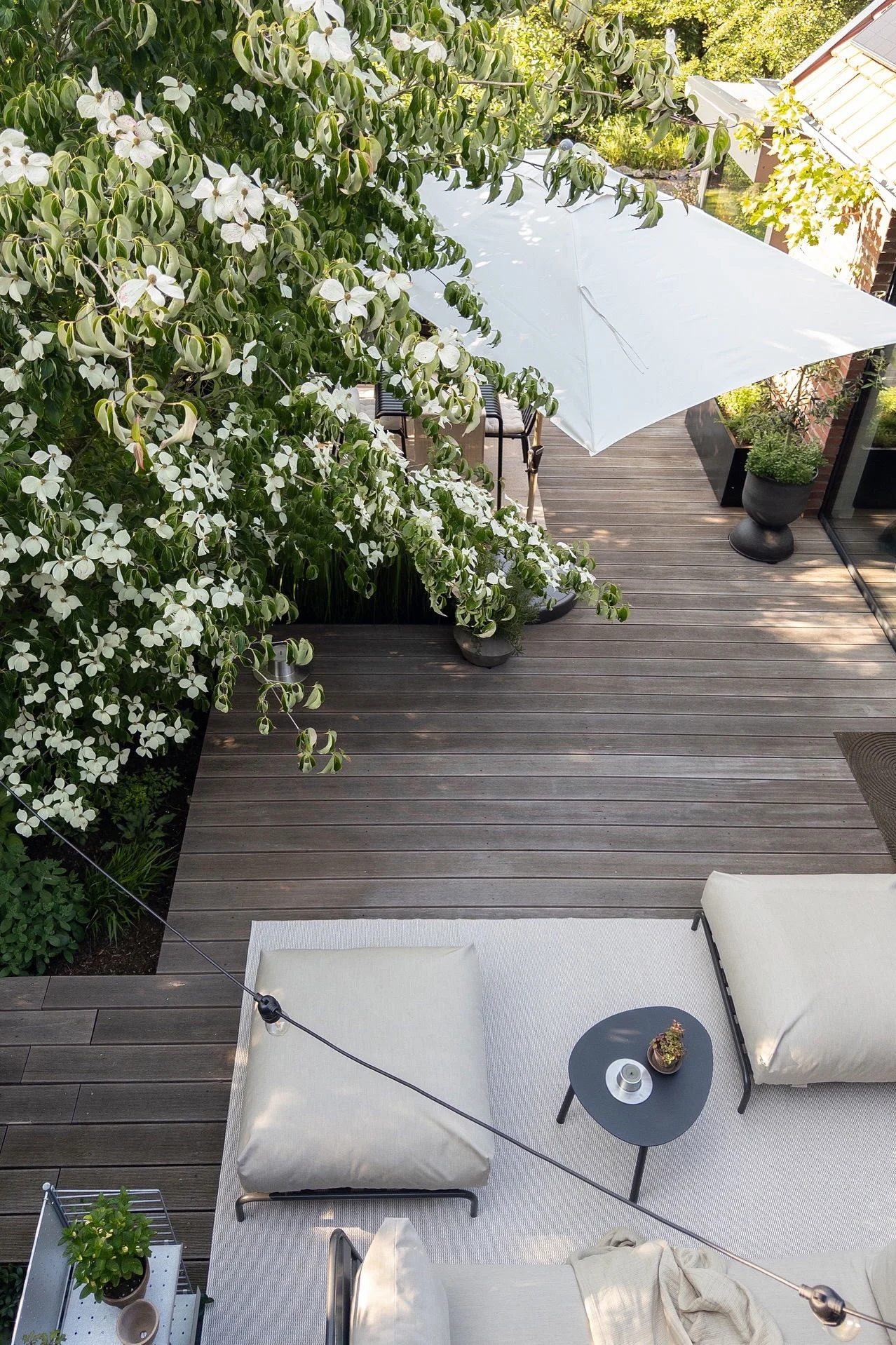 Luftaufnahme einer modernen Außenterrasse mit Holzdeck, weiß blühendem Baum und hellen Loungekissen.