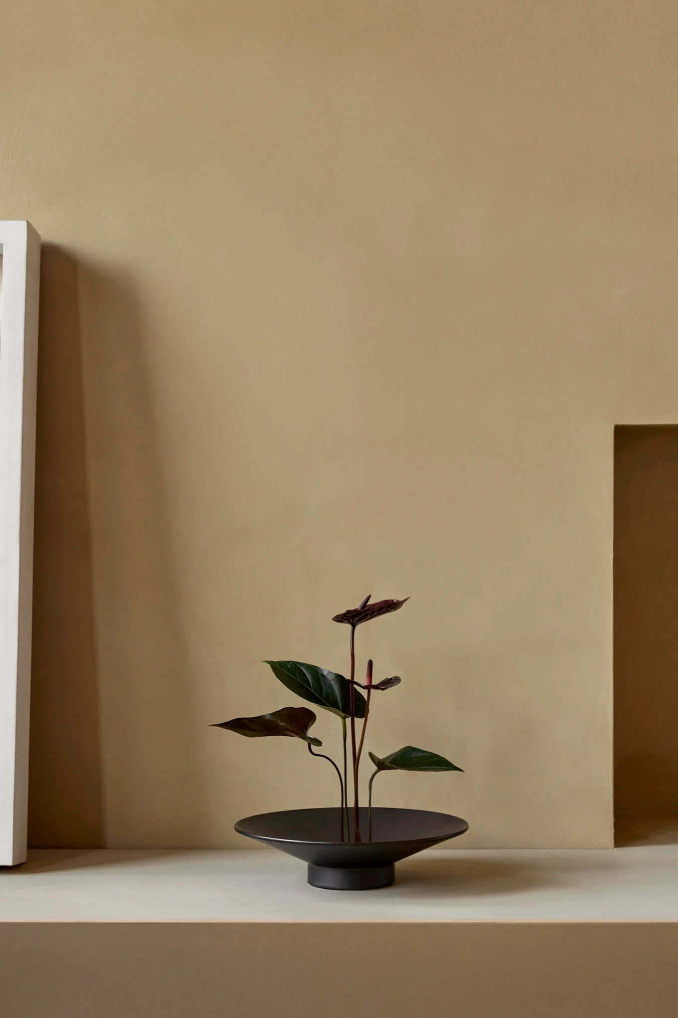 Ein minimalistisches Interieur mit einer dunkelgrünen Pflanze mit dunkelroten Blüten in einer schwarzen Schale auf einem hellbeigen Regal vor einer beigen Wand.