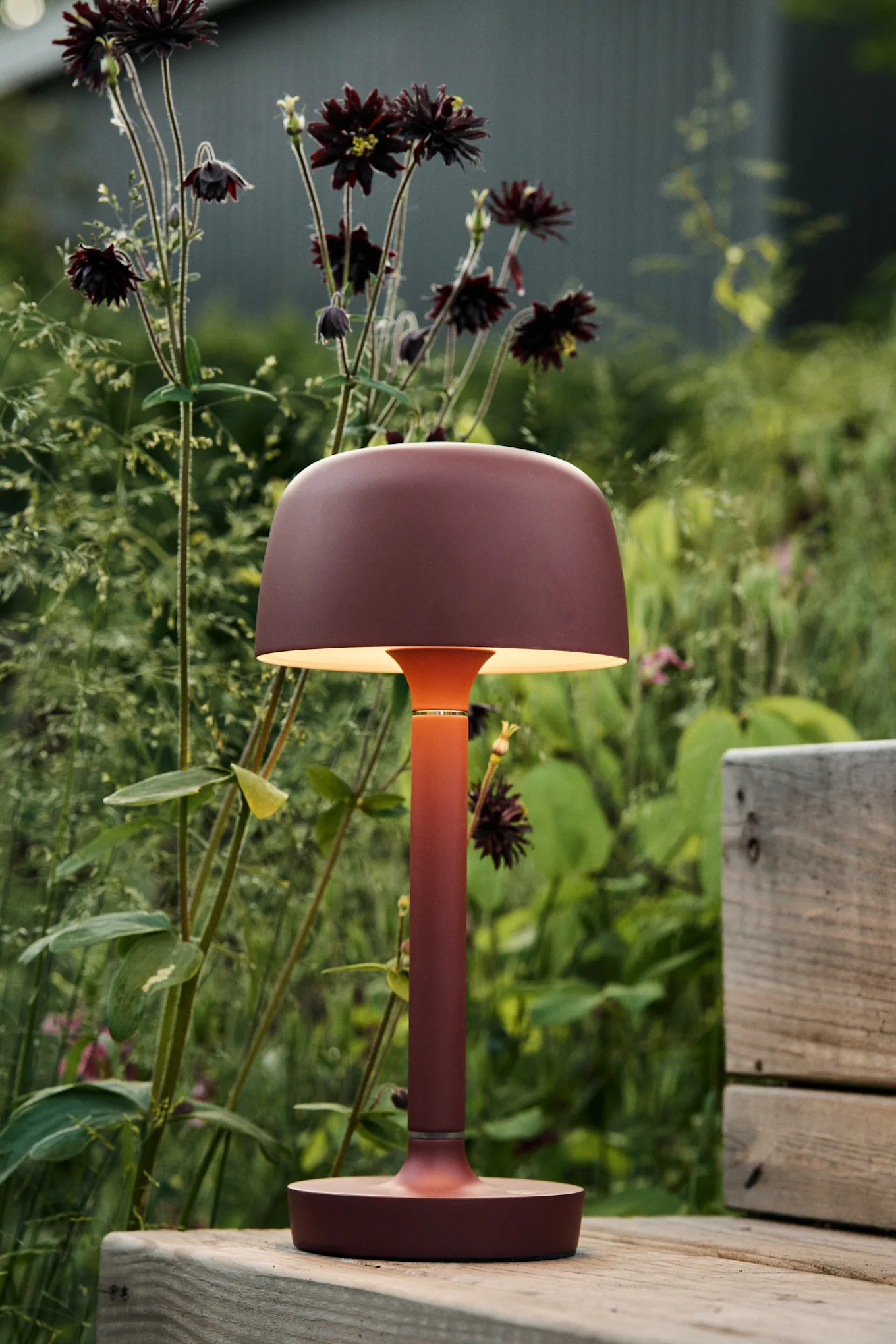 Eine rötlich-braune tragbare Lampe mit pilzförmigem Schirm leuchtet auf einer Holzbank in einem Garten mit dunklen Blumen.