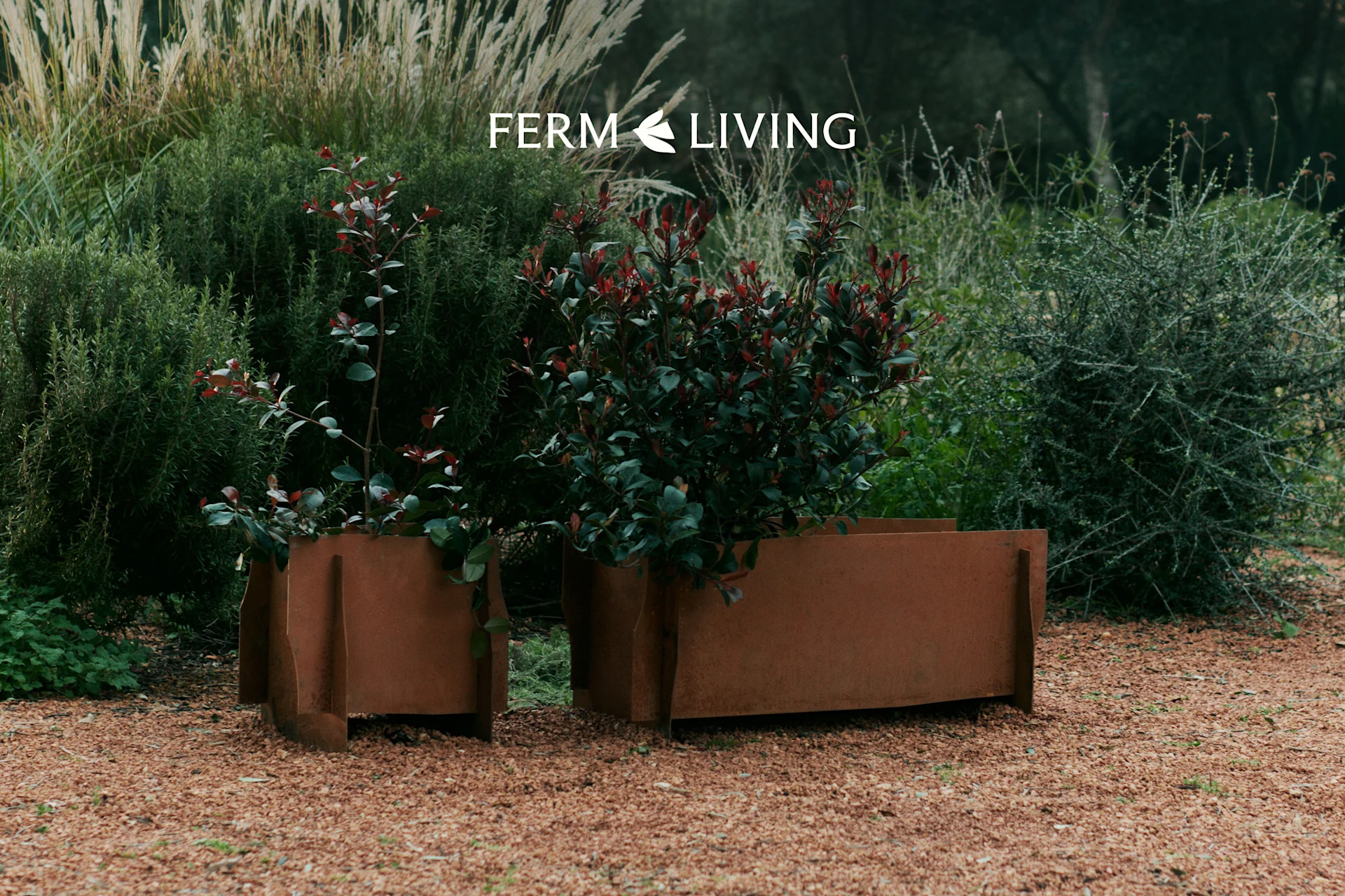 Zwei verwitterte Metallpflanzgefäße mit grün-rotblättrigen Pflanzen auf Kies in einem Garten. Ferm Living Logo.
