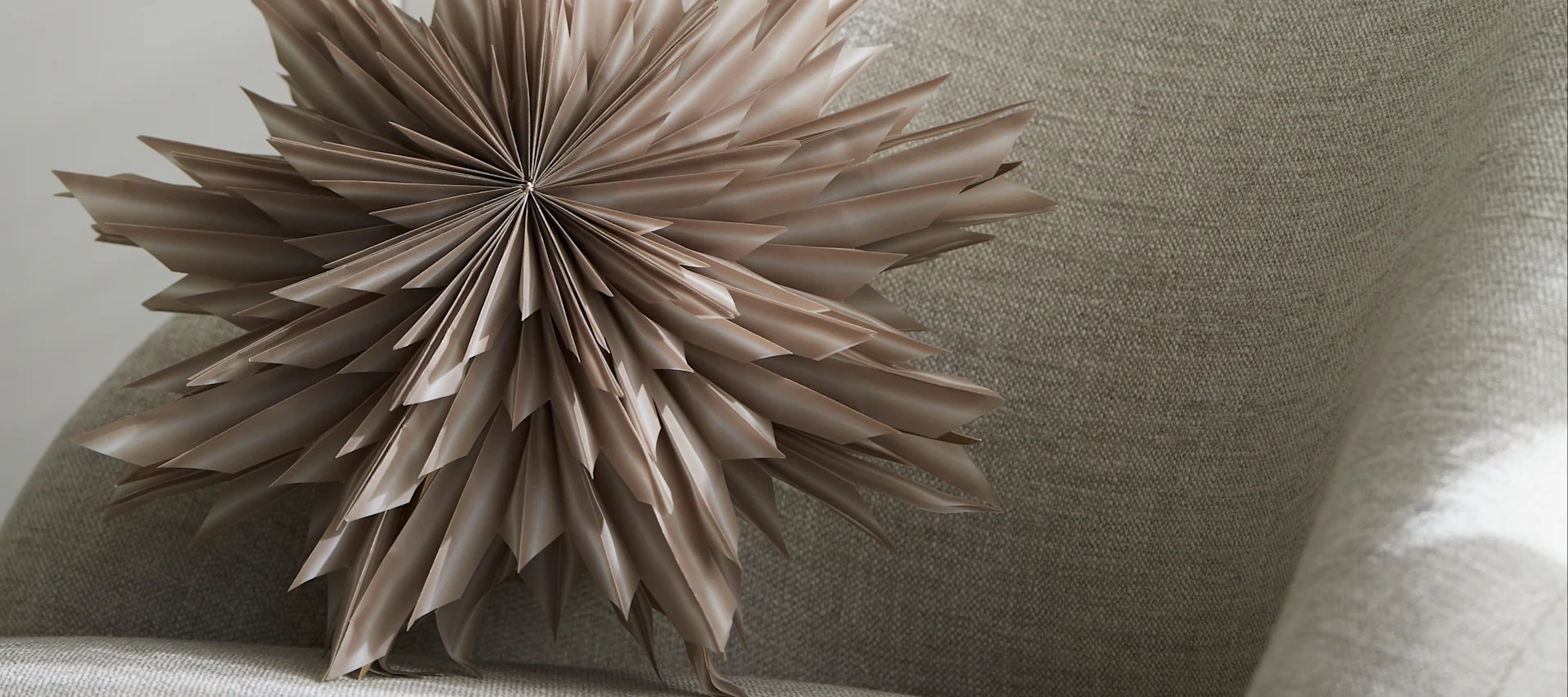 Der beigefarbene Weihnachtsstern Helena steht auf einem Sessel.