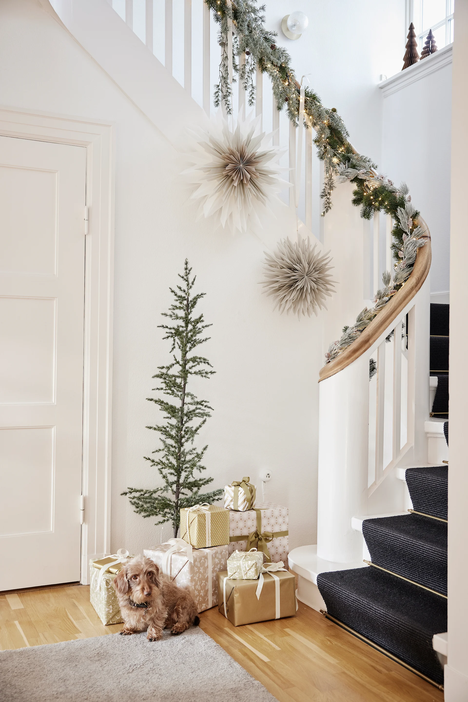 Zwei Weihnachtssterne hängen in einem Treppenhaus über einem Weihnachtsbaum, einem Stapel Geschenken und einem kleinen Hund. 