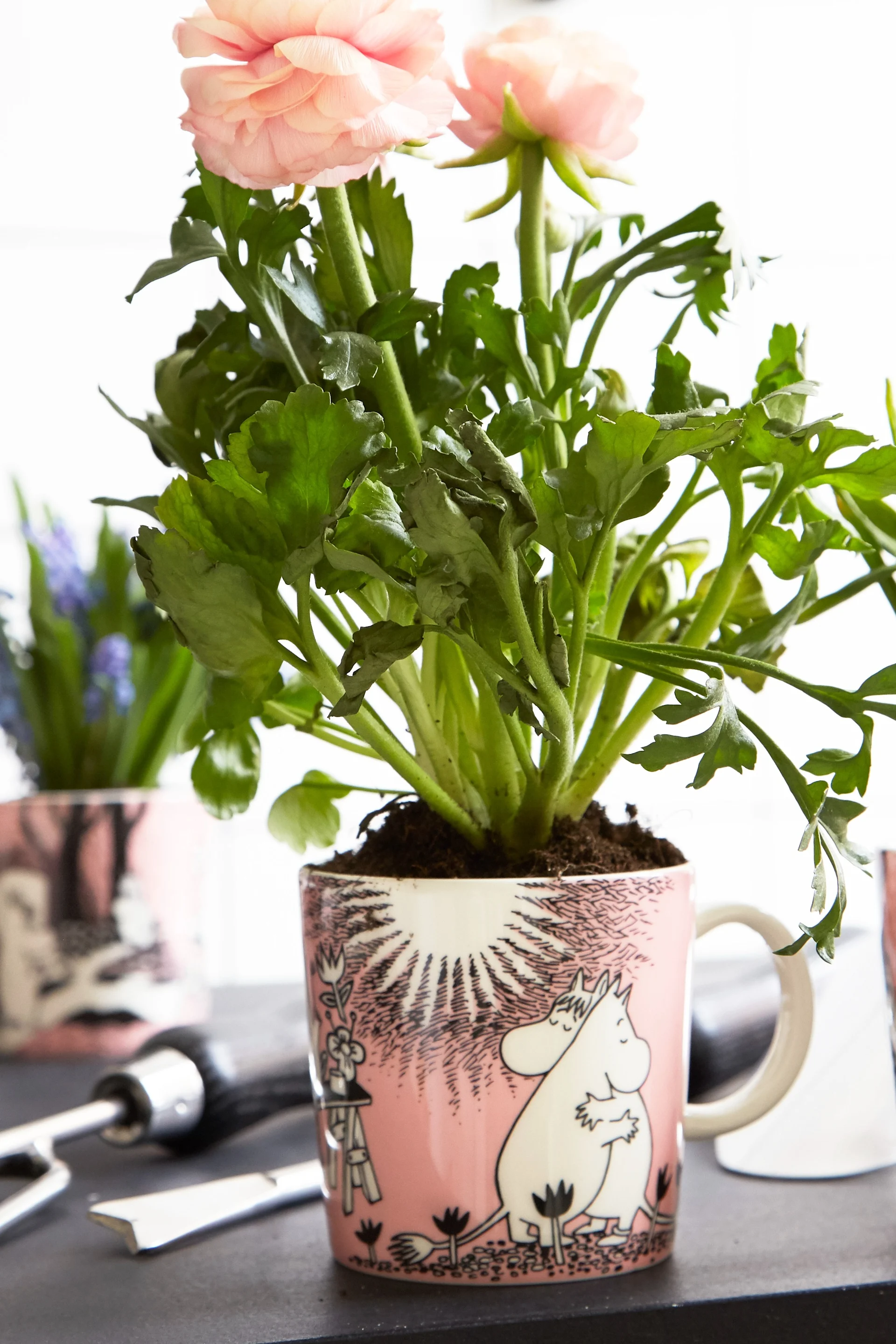 Ein Strauß Rosen wurde in die Mumin-Tasse "Liebe" gepflanzt.
