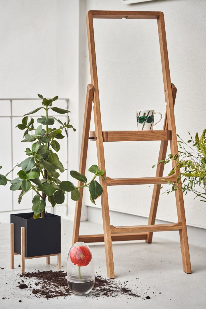Die Leiter von Design House Stockholm steht in einem weißen Raum mit einer Pflanze in einem schwarzen Blumentopf daneben, einem Grow Terrarium davor und einer Elsa Beskow Tasse darauf.