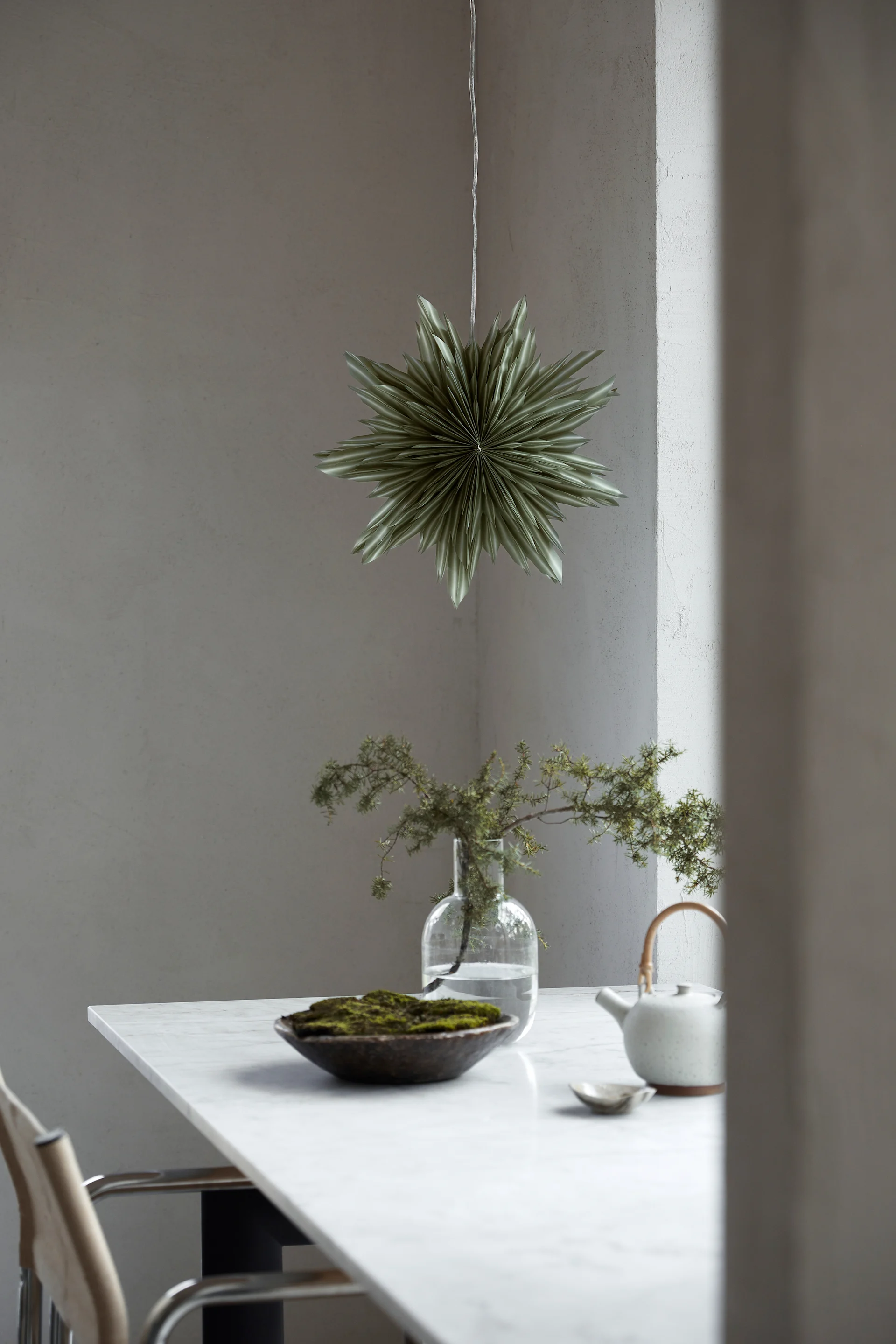 Der Weihnachtsstern Helena in Grün hängt im Fenster über einer grünen Topfpflanze. 