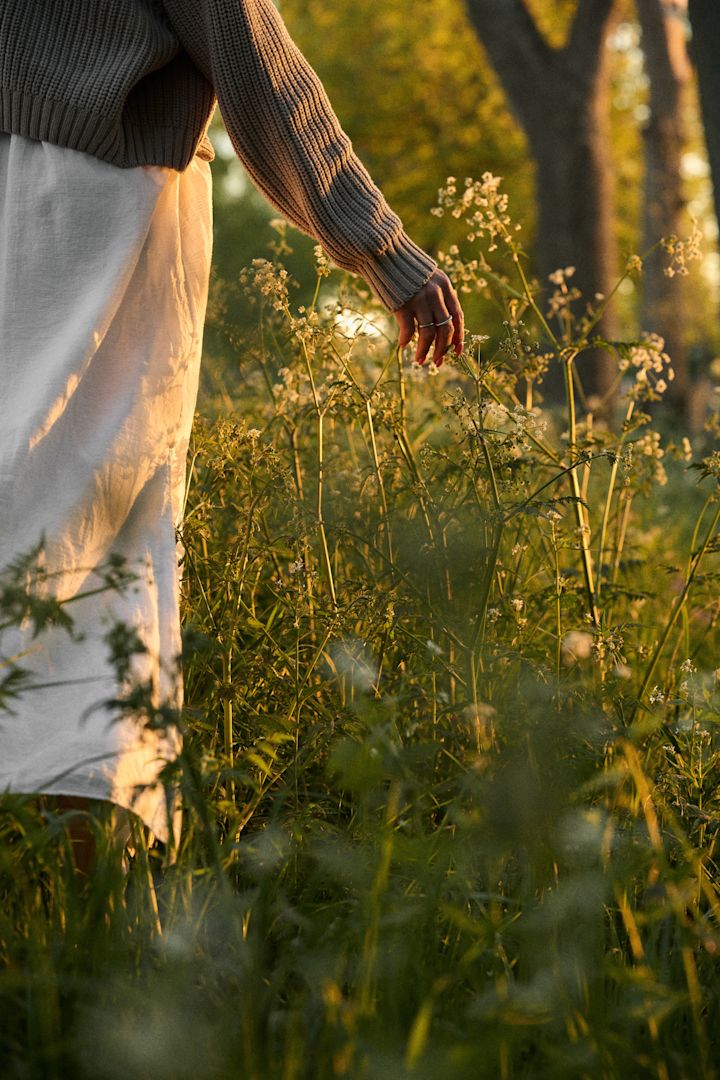 Dieses Bild fängt die Stimmung zu Mittsommer 2025 perfekt ein – hier sehen Sie eine Frau durch eine Wiese bei Sonnenuntergang spazieren.