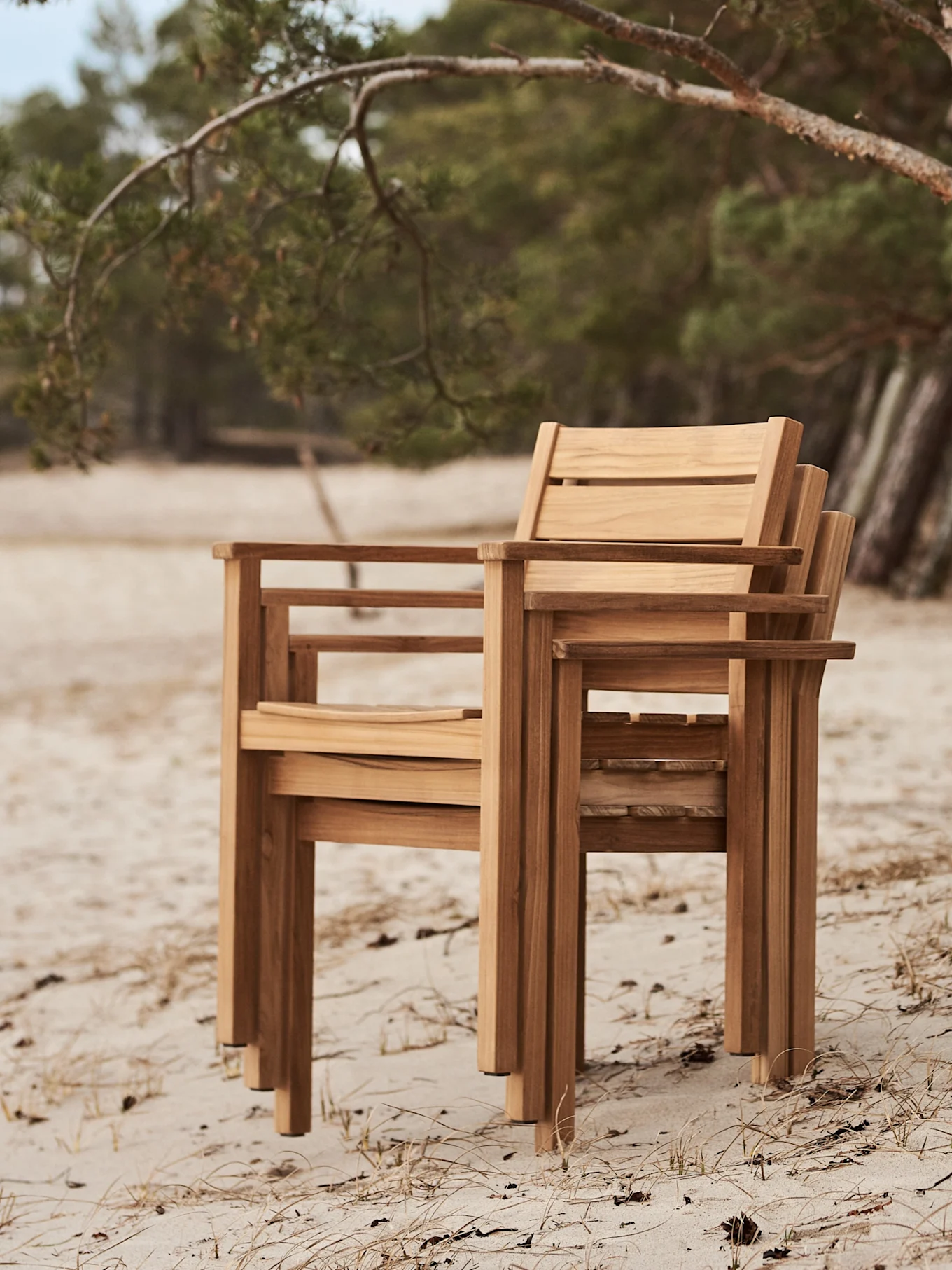 Drei gestapelte Gartenstühle aus Holz auf einem Sandstrand mit Bäumen im Hintergrund.