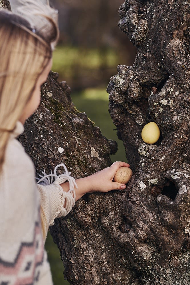 Verstecken Sie bunte Eier im Garten, welche die Kinder finden müssen.