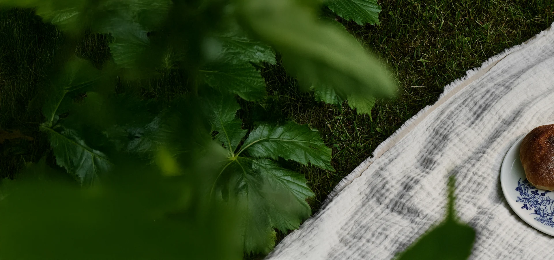 Draufsicht auf eine Picknickdecke auf Gras unter grünen Blättern, mit einem Teller mit einem braunen Gebäckstück.