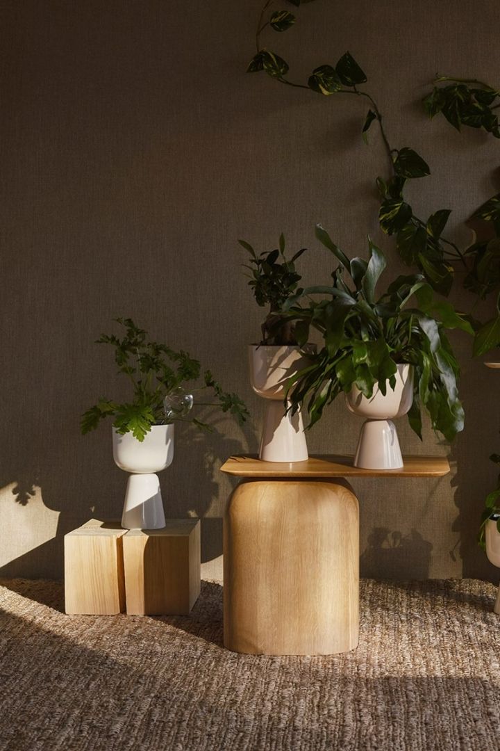 Pflanzen im Haus – 9 Blumentöpfe für ein grünes zu Hause. Dekorieren Sie mit dem Nappula Blumentopf aus weißer Keramik von Iittala.